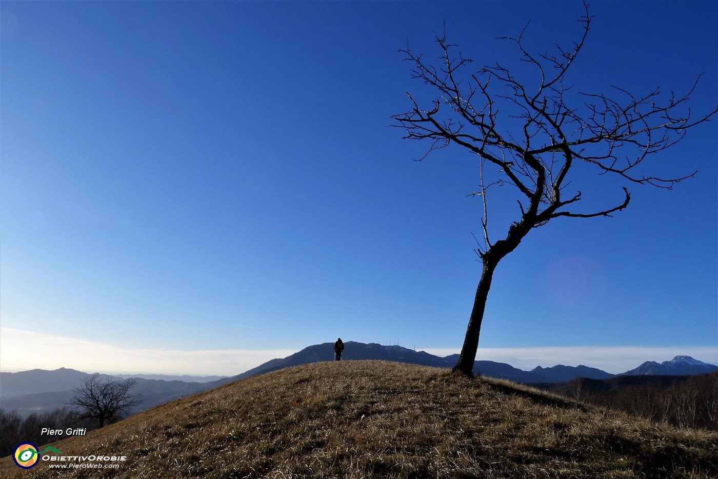 91 Svettano nel cielo i rami spogli.JPG -                                